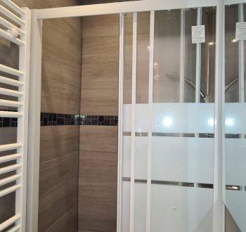 2021-03-08-19-56-135